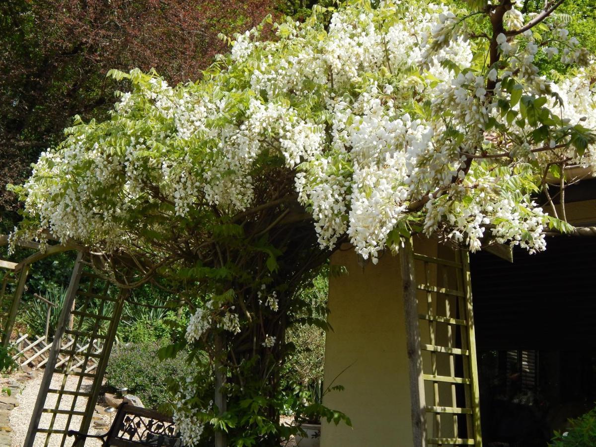 The Petite Chalet Chambre D'Hotes L'Isle-Jourdain  Bagian luar foto