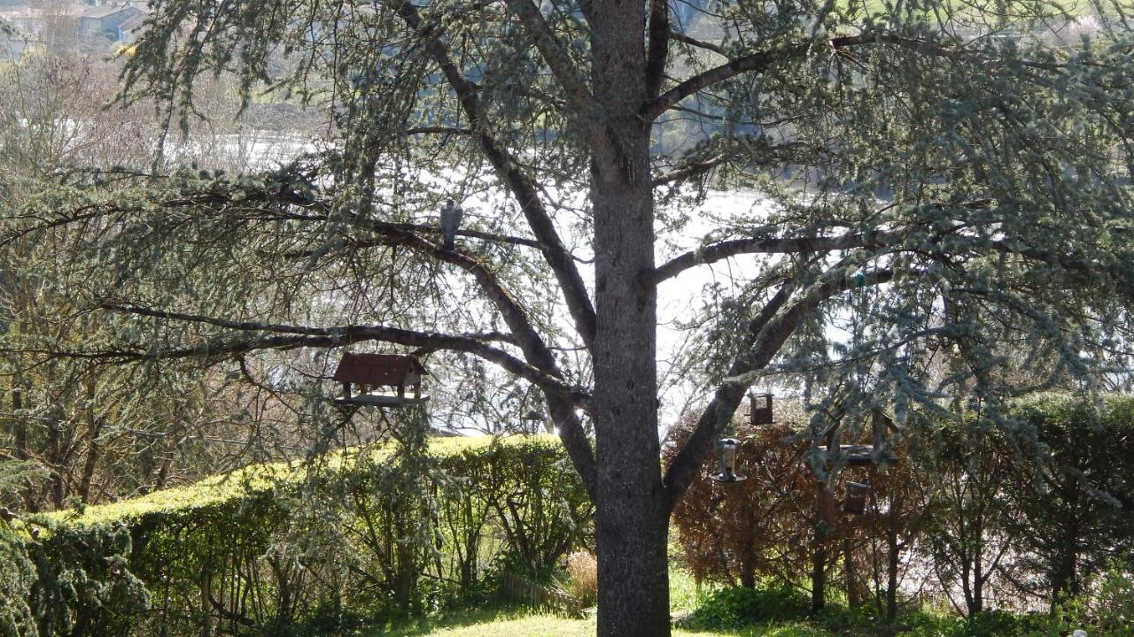 The Petite Chalet Chambre D'Hotes L'Isle-Jourdain  Bagian luar foto